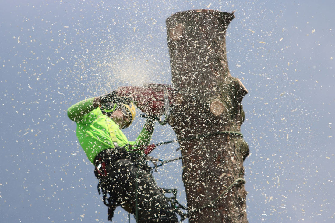 Arborist in safety gear climbing a tree and cutting a trunk with a chainsaw - how to stay energized working outdoors all day